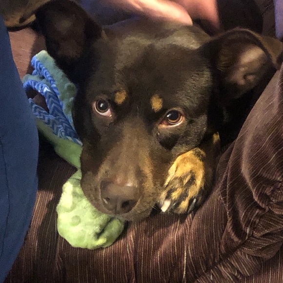 Meet your Posher, Erin - Picture 5 of 6